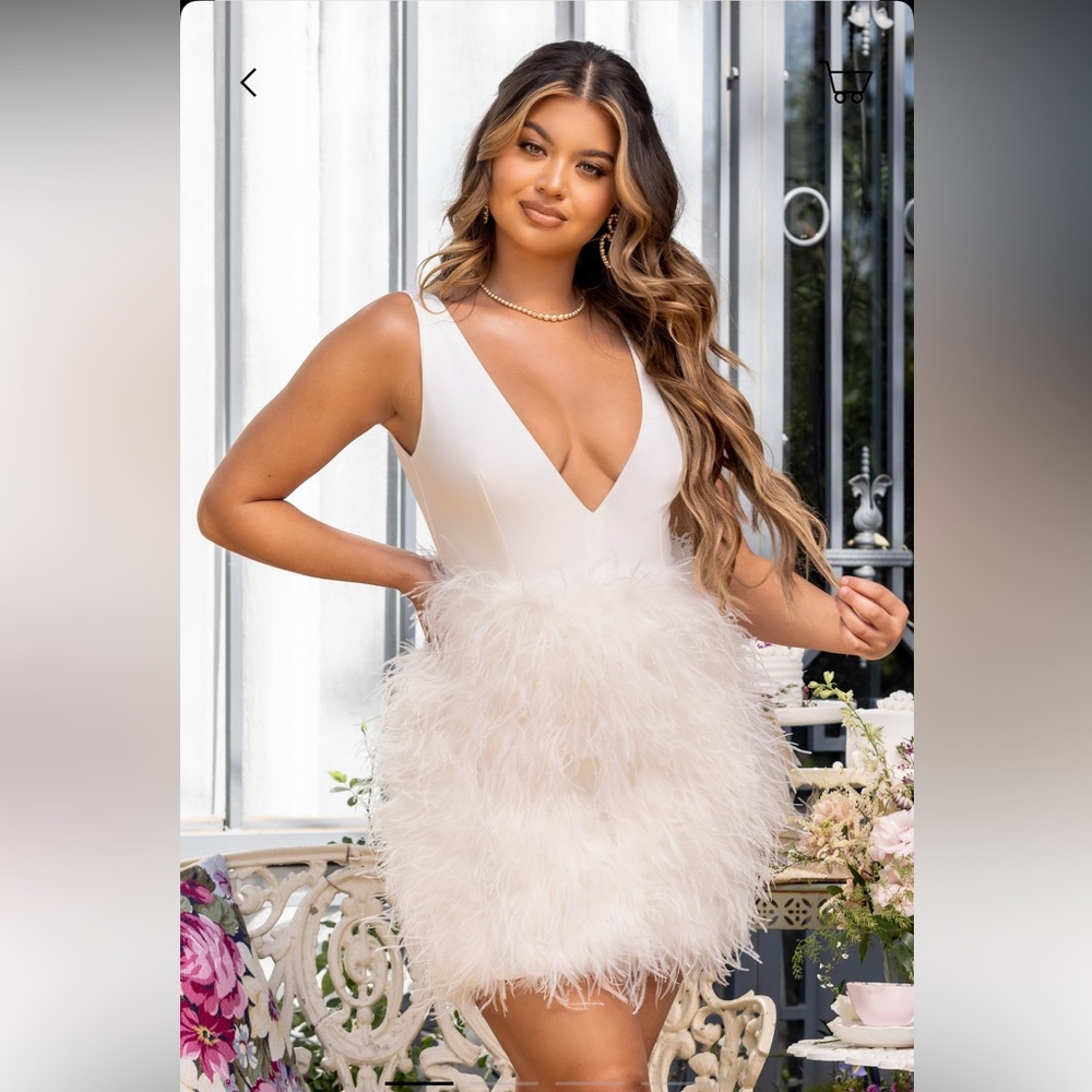 Gently used feather dress